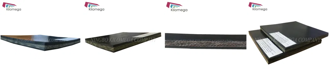 High Quality Black Nn/Ep Rubber Conveyor Belt for Mining/Quarry/Logs/Ore/Muck/Soil Process