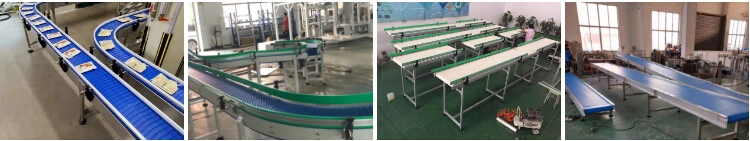 Plastic POM Slat Conveyor Flat Top Belt Chain in Factory Price